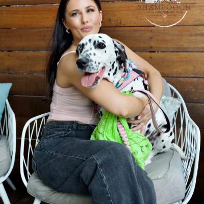Shampooch Dog Grooming Albury Wodonga Footscray