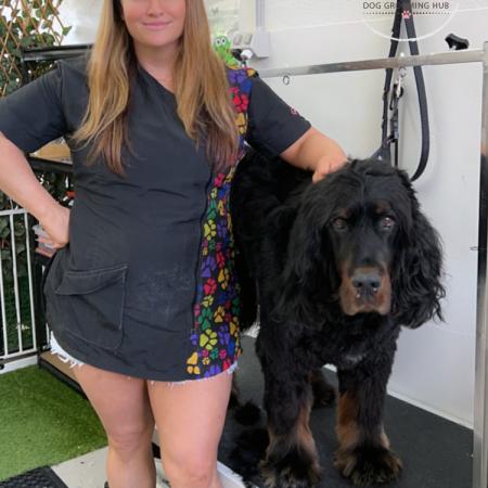 Shampooch Dog Grooming Albury Wodonga Footscray